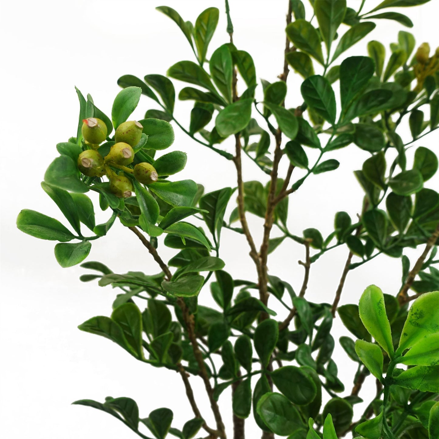 60cm Artificial Aglaia Odorata Bonsai Ficus Tree – image 4