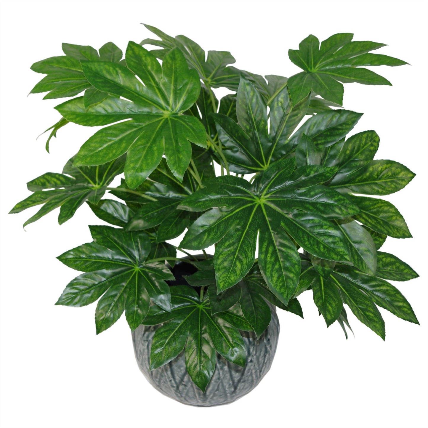 60cm Artificial Japanese Aralia Plant Evergreen – image 5