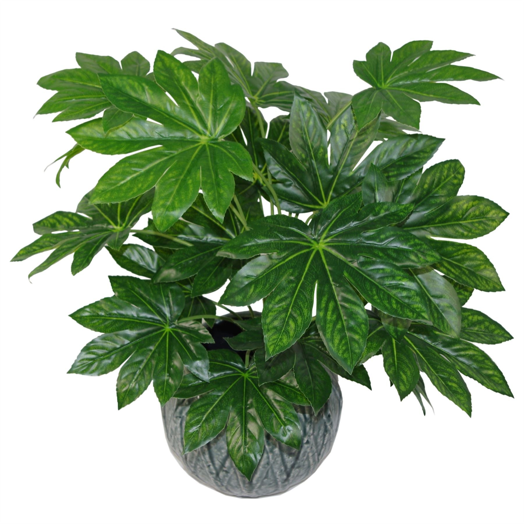 60cm Artificial Japanese Aralia Plant Evergreen – image 5