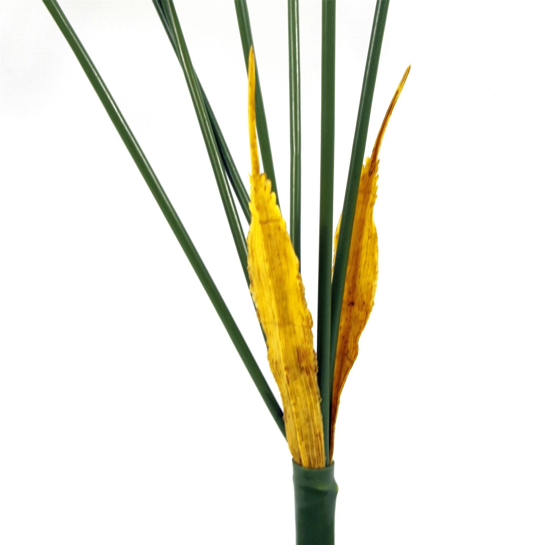 Artificial 75cm Palm Tree Unpotted 6 Leaves – image 3