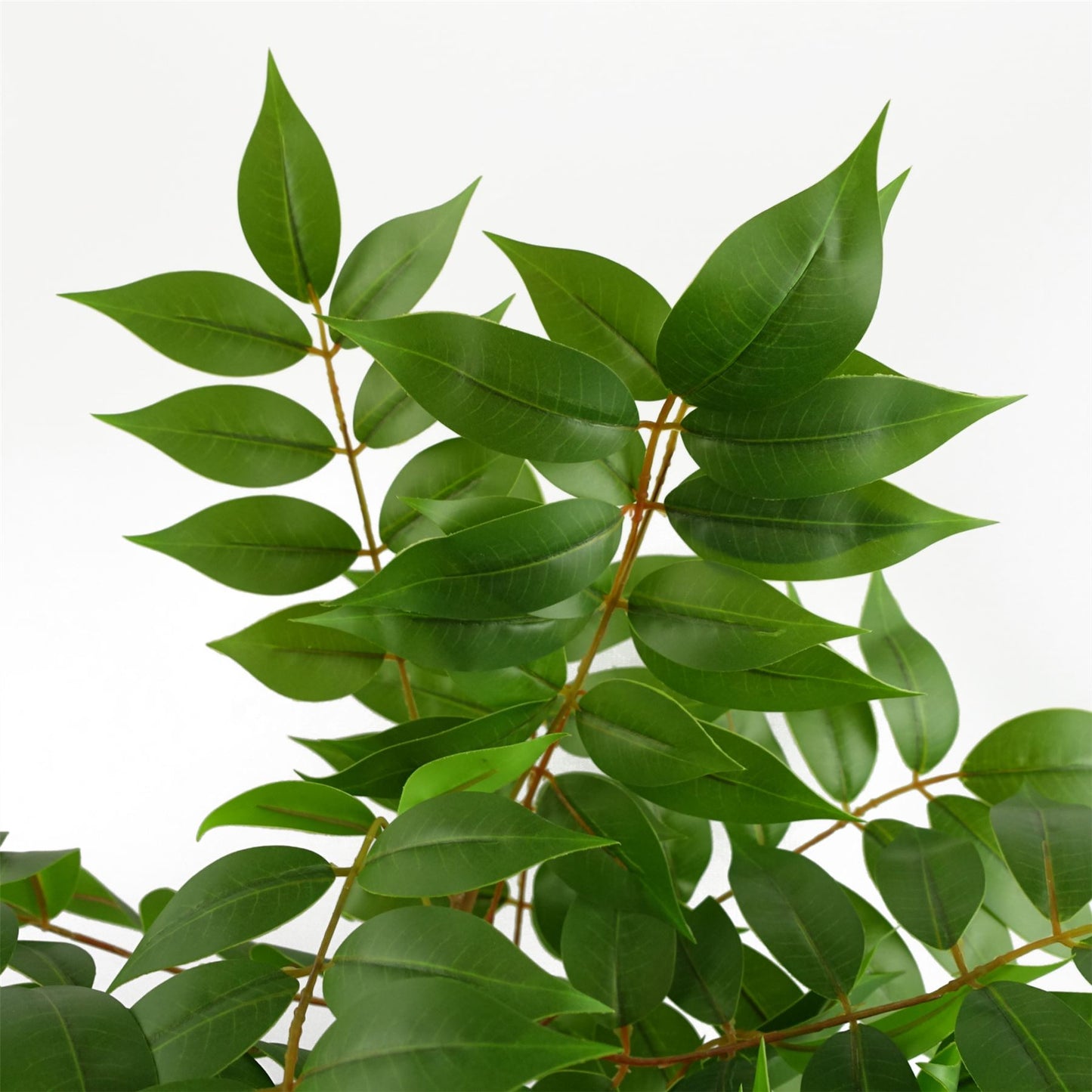 65cm Artificial Toona Sinensis Plant Evergreen – image 5