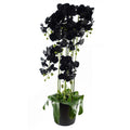 110cm Artificial Black Orchid Plant Artifcial 41 REAL TOUCH flowers