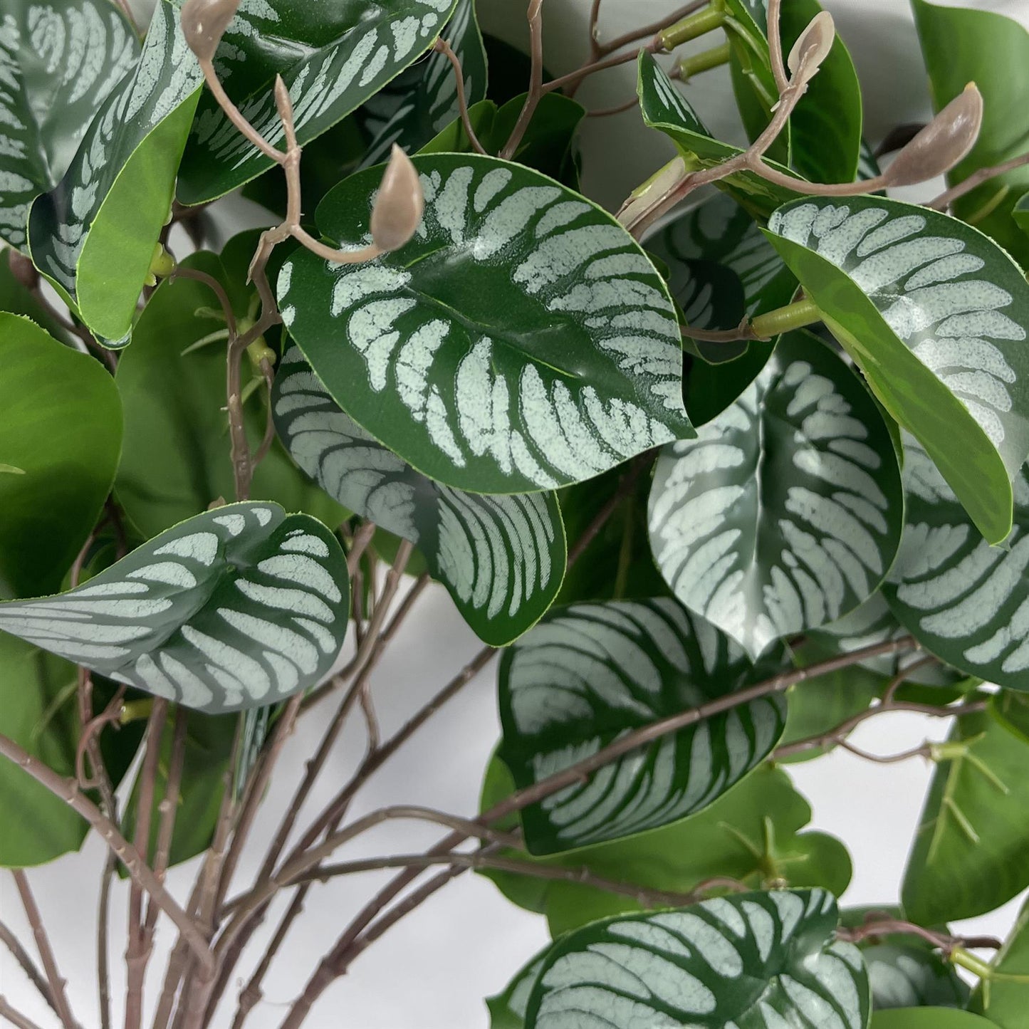 70cm Artificial Zebra Foliage – image 3