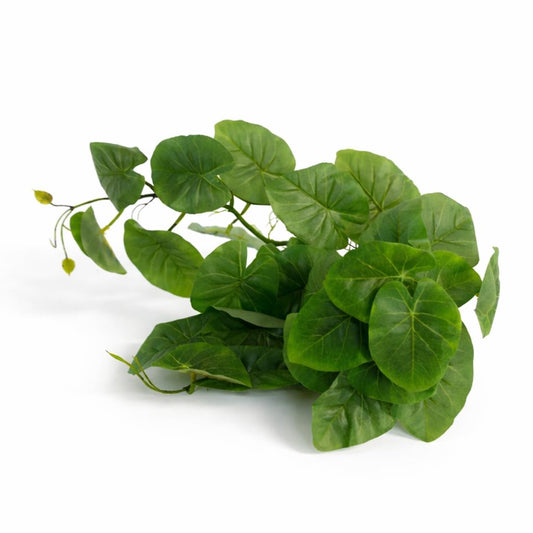 25cm Artificial Trailing Arrowhead Vine Plant – image 2