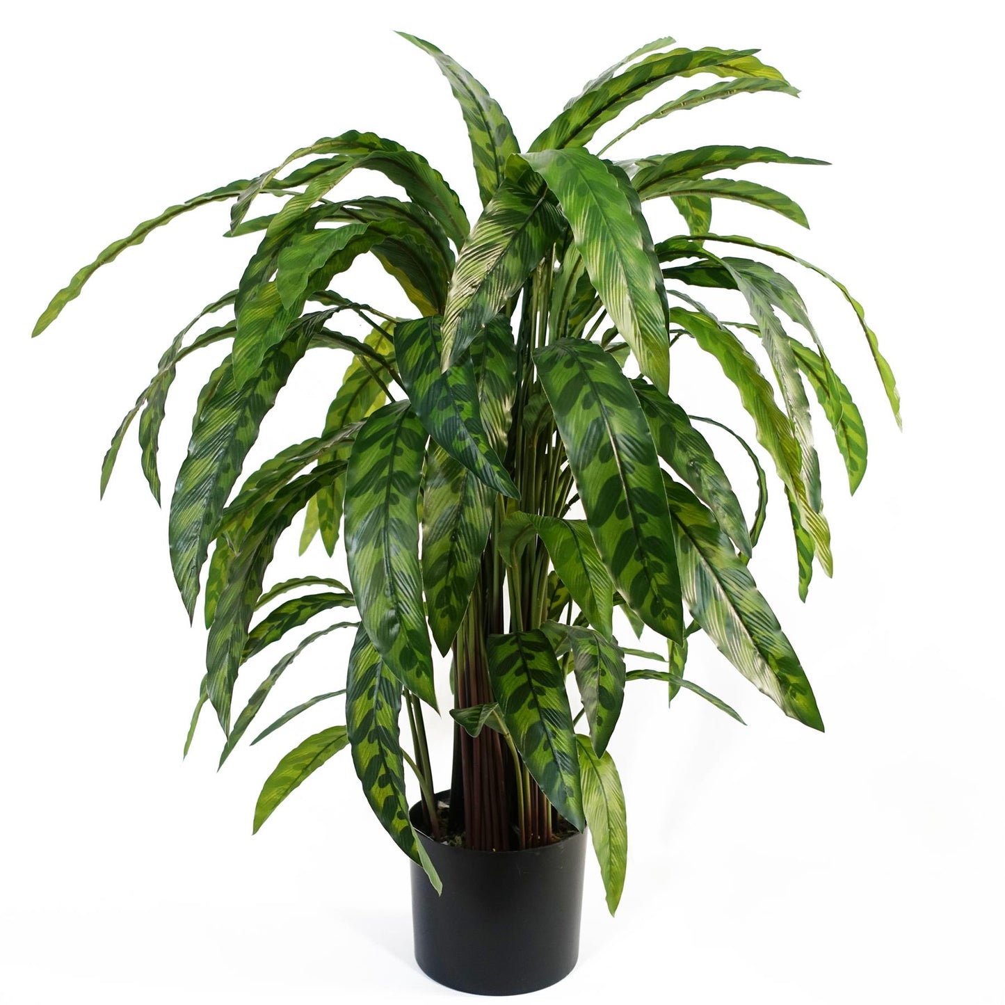 90cm Variegated Artificial Calathea Plant – image 4
