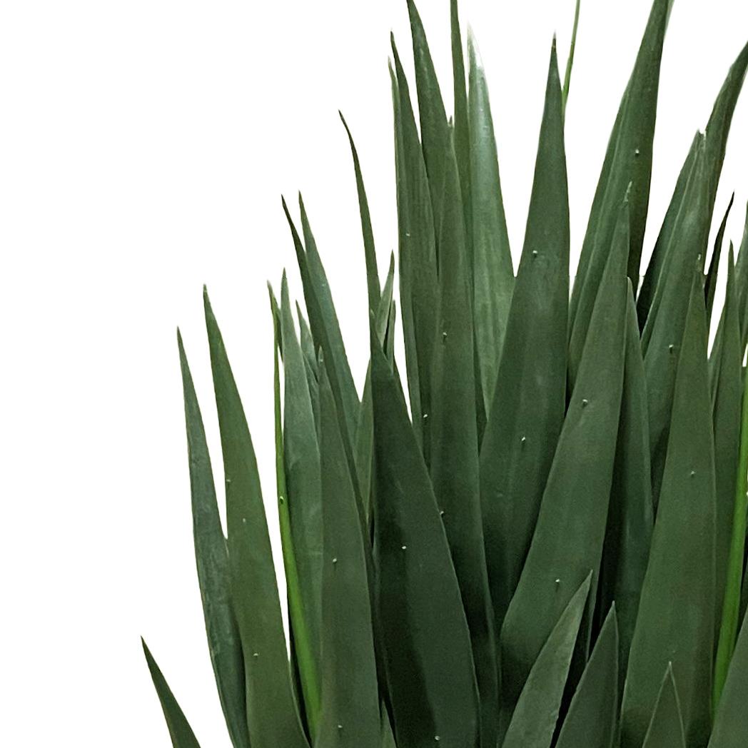 70cm Artificial Yucca Plant – image 3