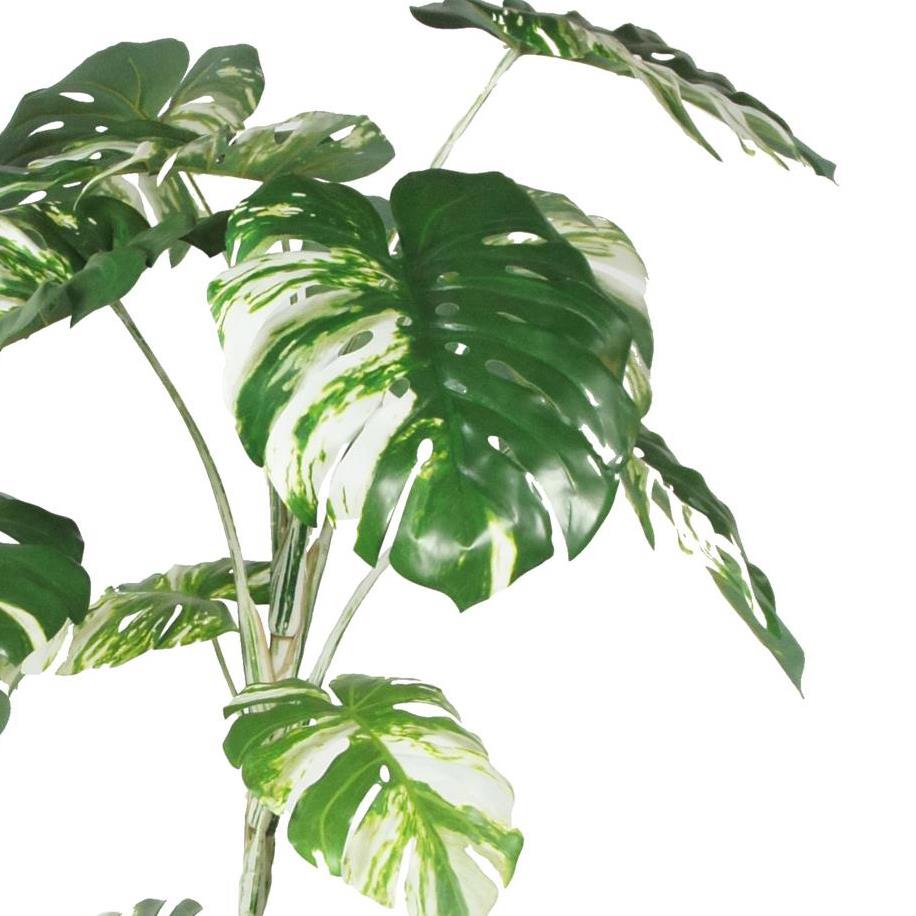 210cm Variegated Monstera Realistic Artificial Tree – image 3