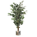 130cm Artificial Variegated White/Green Ficus Tree Silver Planter