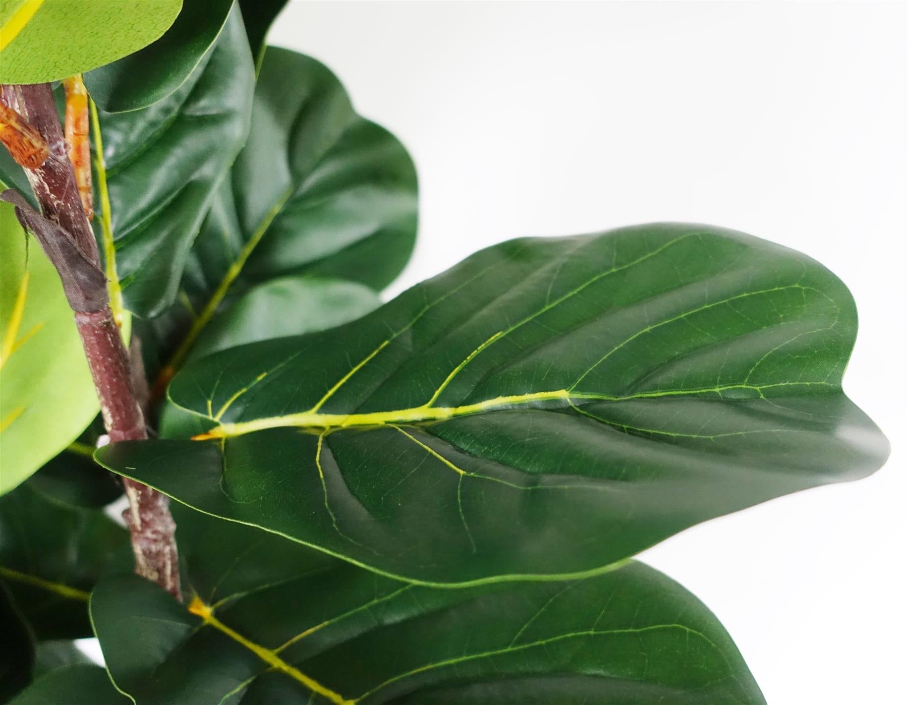 120cm Premium Artificial Fiddle Fig Tree – image 4