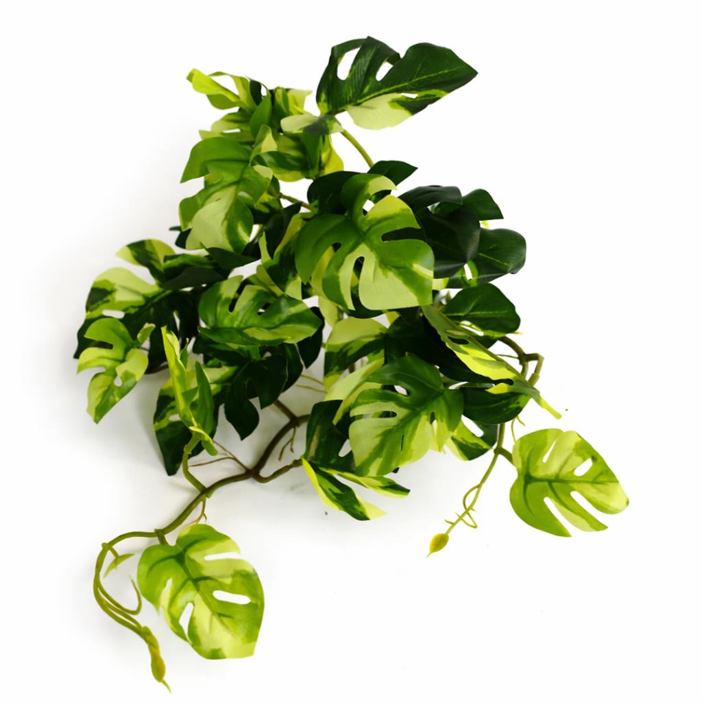 25cm Artificial Trailing Variegated Monstera Vine Plant – image 3
