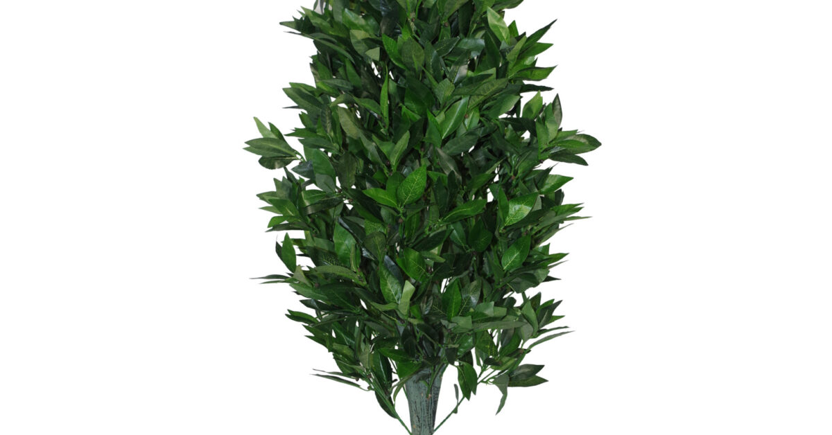 Coppia Alberi Artificiali Alloro - Topiaria Verde, 120 Cm, Per Interni Ed Esterni - Foto 10