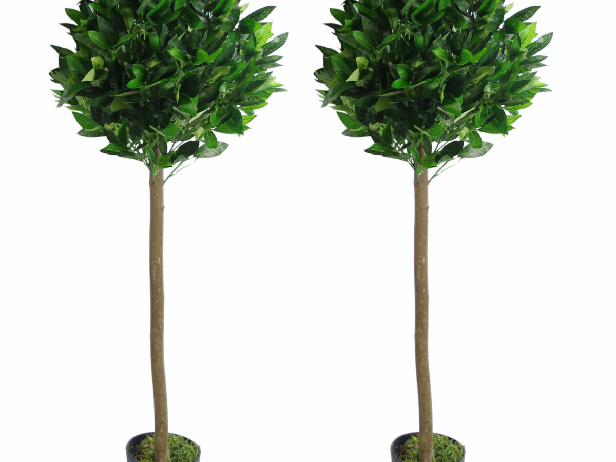 Leaf Design UK Pair of Artificial Bay Topiary Ball Trees Green Twist 90cm for sale online 
