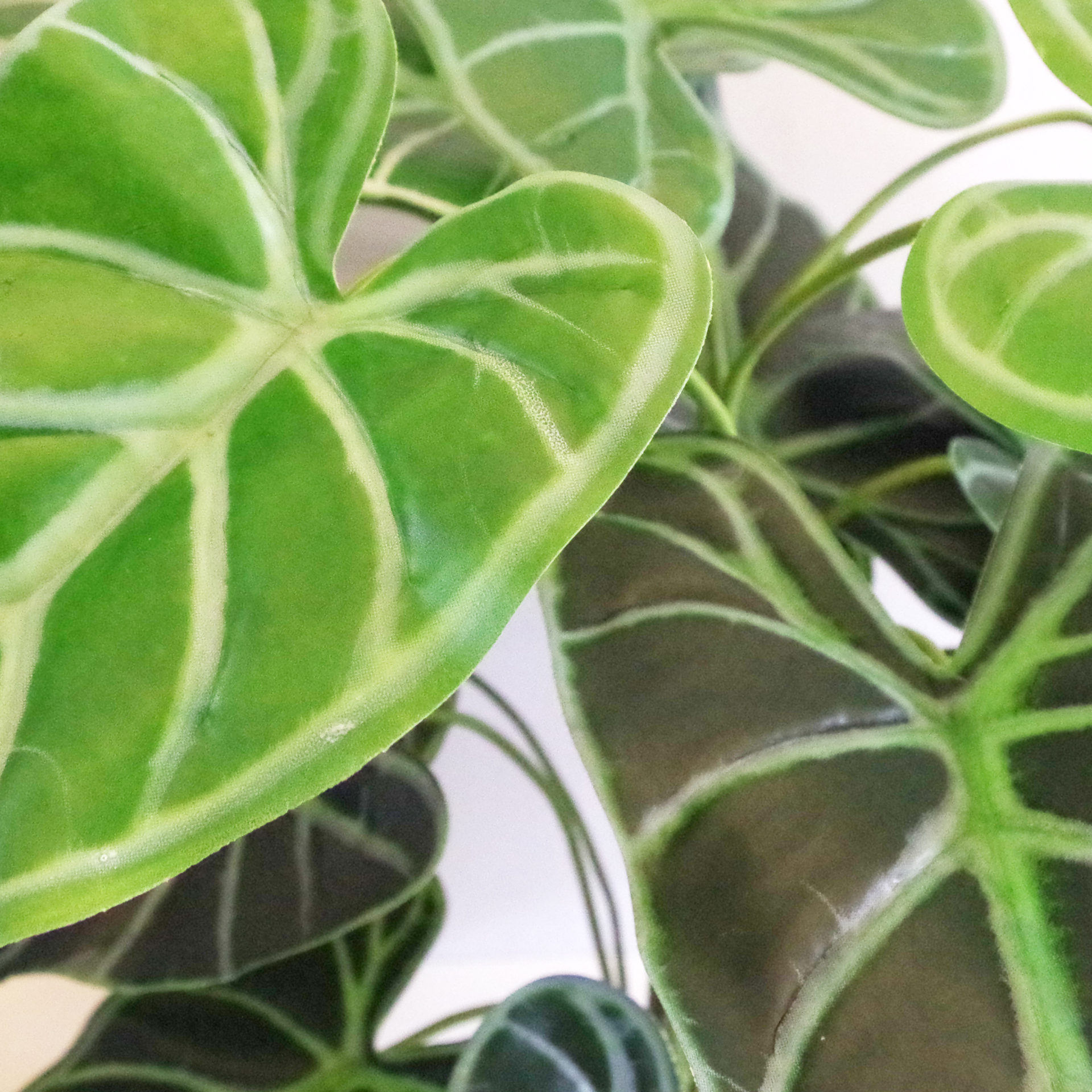 60cm-2ft-artificial-alocasia-amazonica-polly-taro-plant-leaf-design