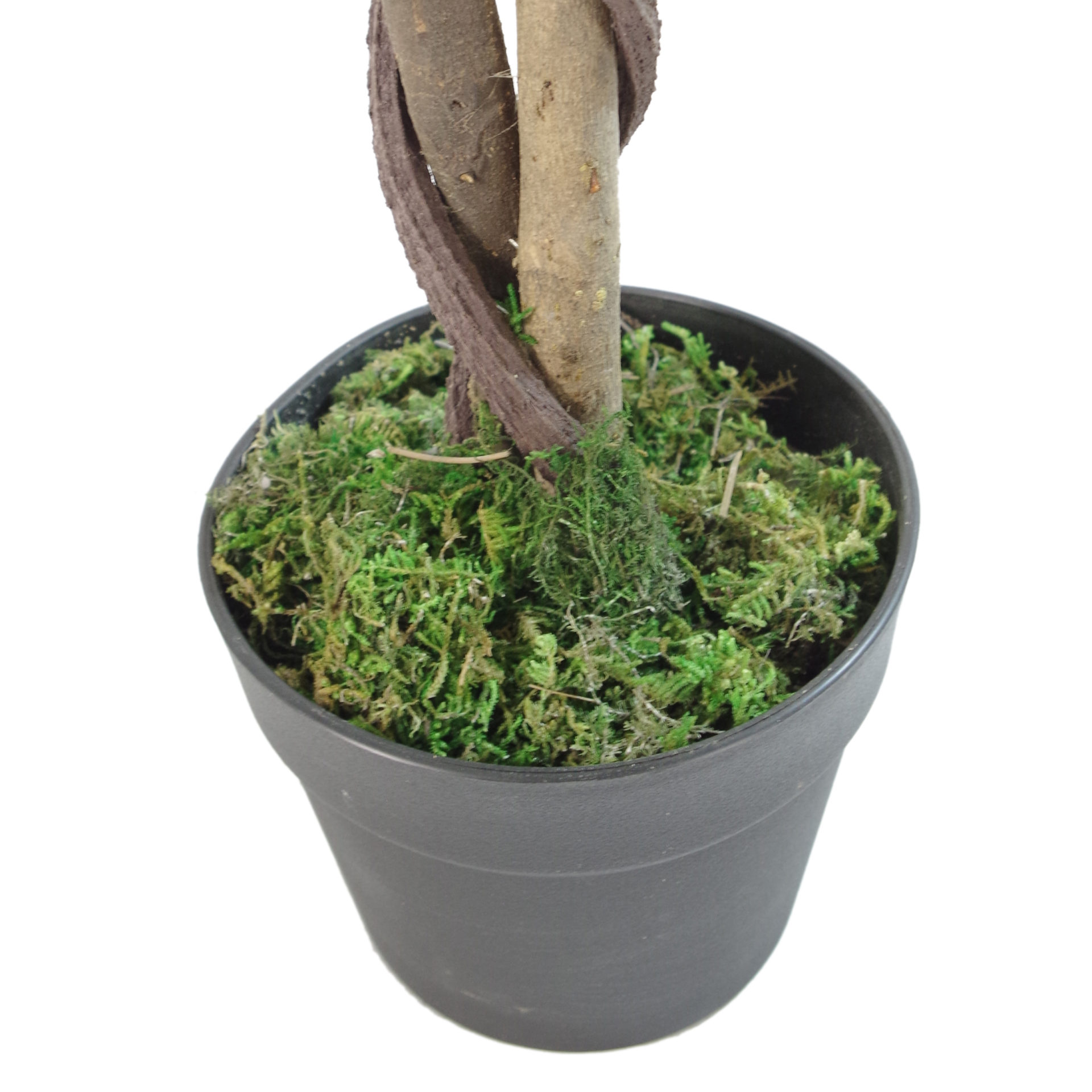 150cm Natural Trunk Artificial Japanese Fruticosa Style Ficus Tree Leaf Design Wholesale