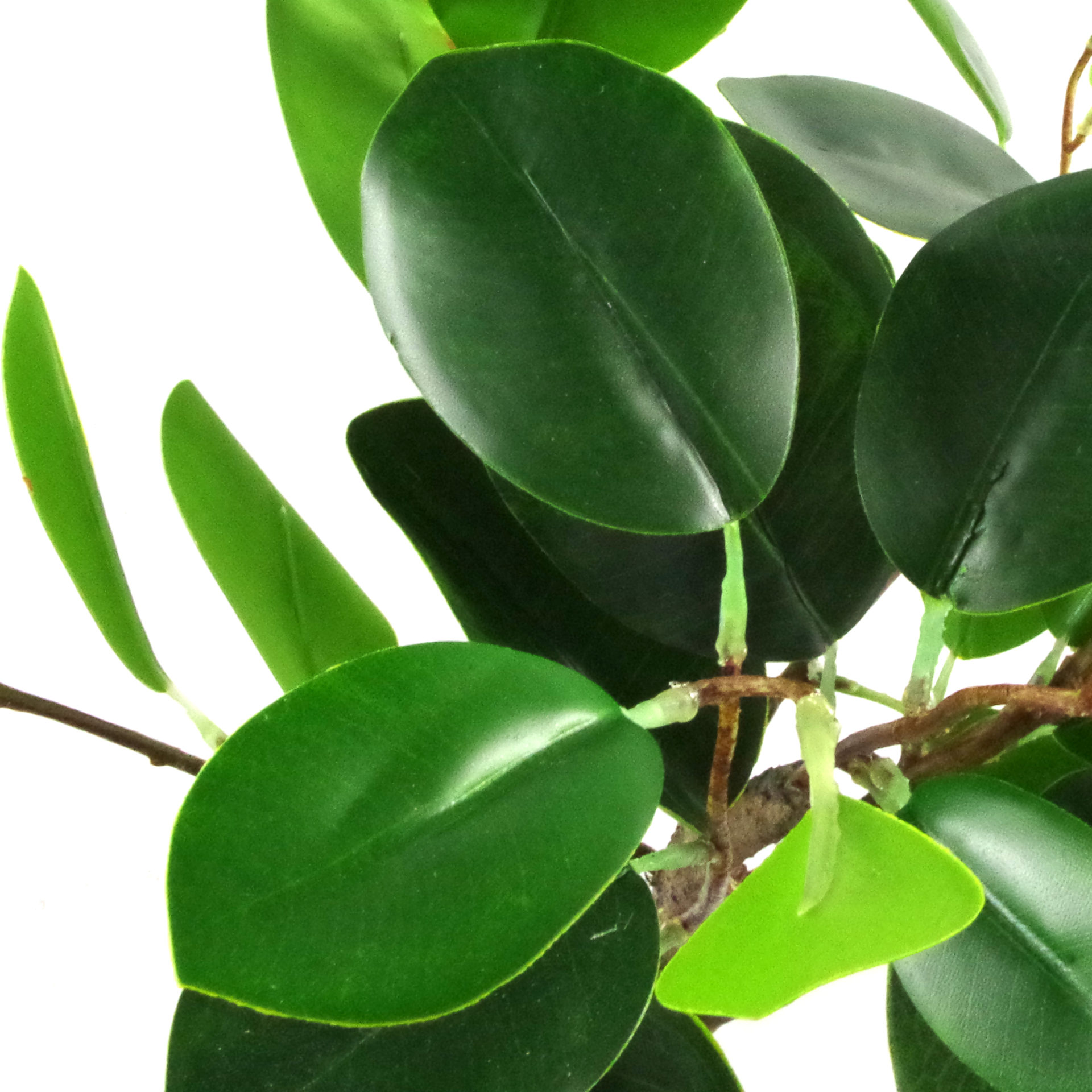 50cm Artificial Ficus Rounded Leaf Bonsai Tree Leaf Design Wholesale
