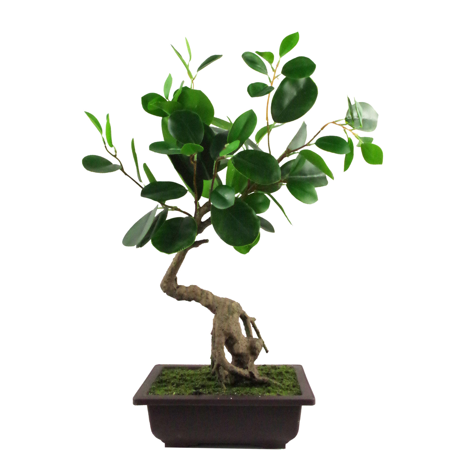 Artificial Bonsai Plants Wholesale From Manufacturer