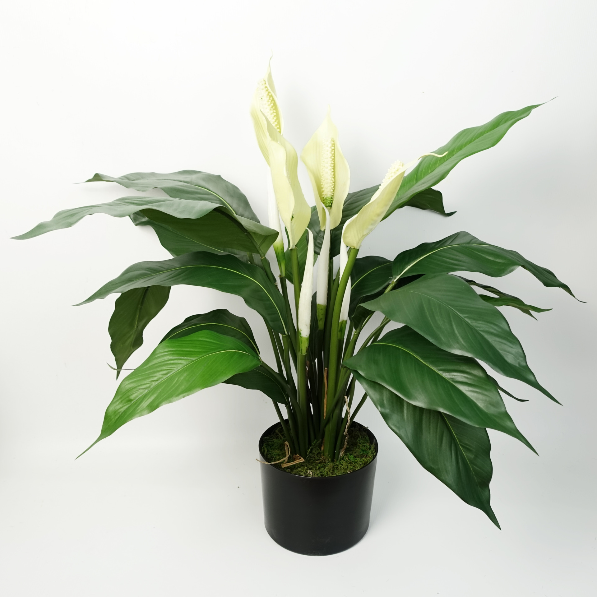 Artificial Peace Lily White Spathiphyllum Leaf Design Wholesale