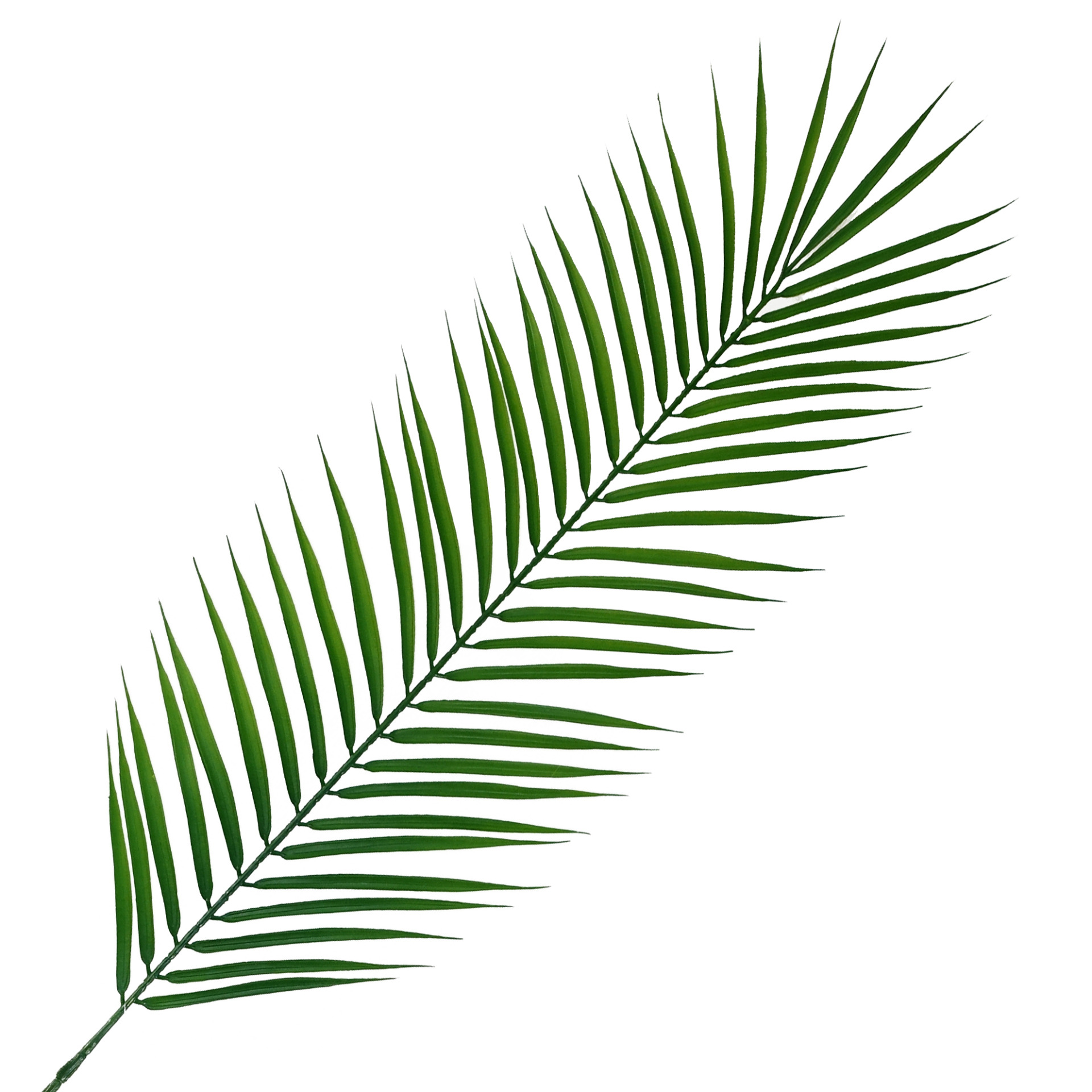 100cm Realistic Artificial Palm Leaf Leaf Design Wholesale