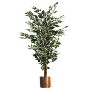 130cm Variegated White/Green Bushy Ficus Tree Copper Metal Planter