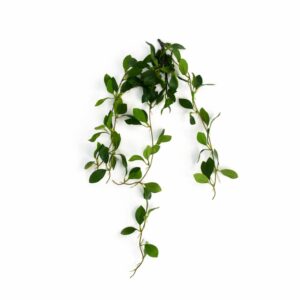 55cm Artificial Trailing Ficus Vine Stem
