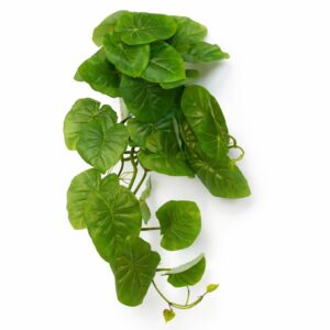 25cm Artificial Trailing Arrowhead Vine Plant