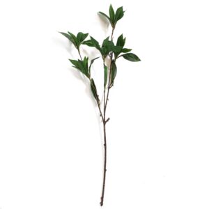 55cm Artificial Laurel Leaf Spray Stem