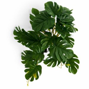 25cm Realistic Monstera Stem Plant - Dark Green