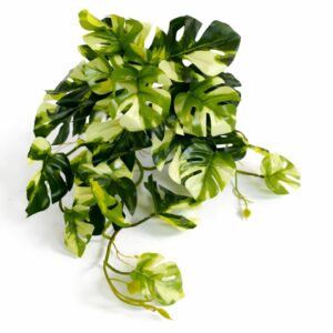 25cm Artificial Trailing Variegated Monstera Vine Plant
