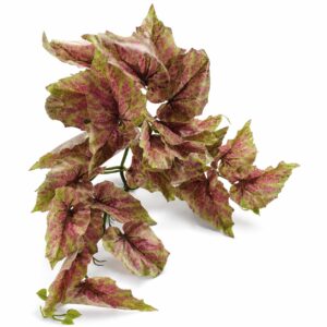 30cm Artificial Trailing Pink and Green Caladium