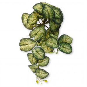 25cm Artificial Trailing Variegated Caladium Vine Plant Dark Green